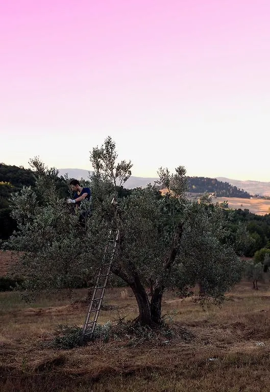 Villa Fonteintanata Miemo Italy